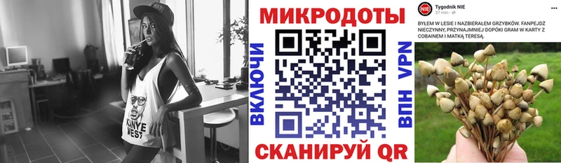 Псилоцибиновые грибы ЛСД  hydra зеркало  Кувшиново 