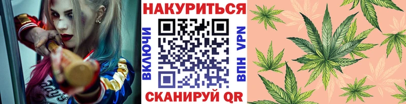 Конопля Bruce Banner  Кувшиново 